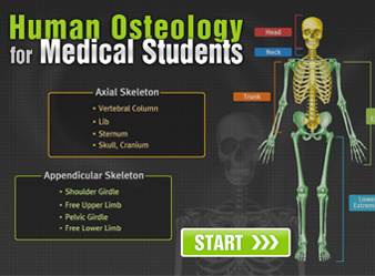 Human Osteology for Medical Students