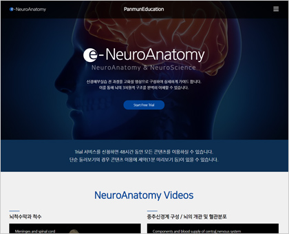 e-NeuroAnatomy
